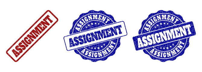 ASSIGNMENT grunge stamp seals in red and blue colors. Vector ASSIGNMENT labels with grunge style. Graphic elements are rounded rectangles, rosettes, circles and text labels.