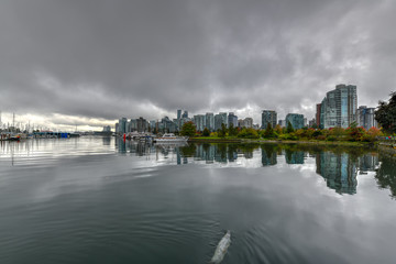 Fototapeta premium Downtown Vancouver Skyline - Vancouver, Canada