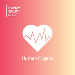 background human organs icons