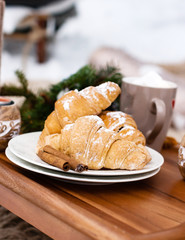 winter picnic in the forest