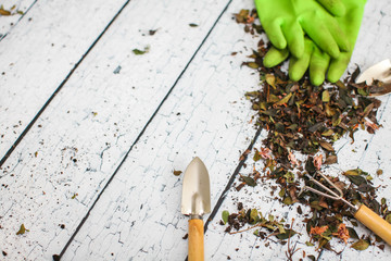 Rubber green safety gloves hand shovel and gardening rake on wooden board agriculture concept.