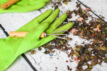 Rubber green safety gloves hand shovel and gardening rake on wooden board agriculture concept.