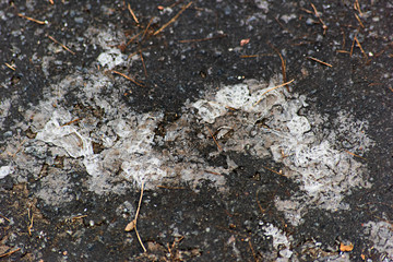 Dirty asphalt with ice
