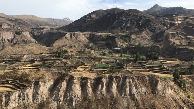 ancient farming terraces in Colca river canyon in Peru, panoramic footage