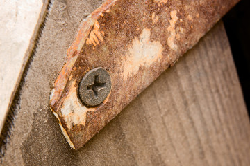 A screw attaches a rusty plate to a wooden surface