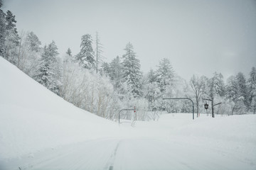 beautiful black and white winter landscape with snow covered road and trees during snowfall on winter day, copy space