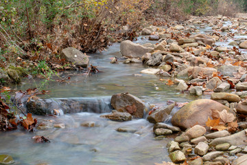 autumn stream day