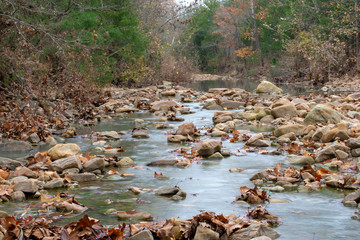stream in autumn