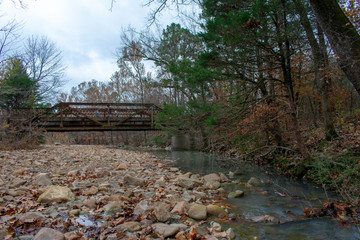 bridge in the park