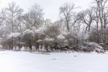 Fototapeta na wymiar Winter landscape with snow. Nature concept