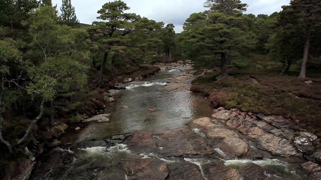 Aerial View Shallow Rocky River Between Trees