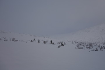 Nature Travel Landscape