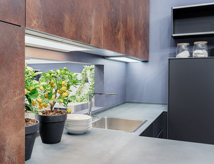Interior modern kitchen in the style of Loft. Shelves with imitation rust finish. Tangerine tree on the tabletop