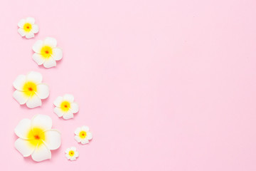 Obraz premium Tropical flowers plumeria on a pink background. Concept spa, tropics, tourism. Flat lay, top view
