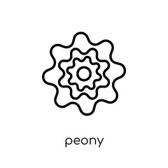 Peony icon. Trendy modern flat linear vector Peony icon on white background from thin line nature collection