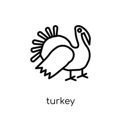 Turkey icon. Trendy modern flat linear vector Turkey icon on white background from thin line india collection