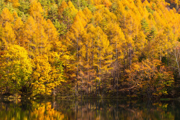 Mishaka pond in Autumn. Located in Chino City, Nagano Prefecture, Japan