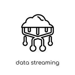 data streaming icon. Trendy modern flat linear vector data streaming icon on white background from thin line Internet Security and Networking collection