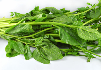 malabar spinach or ceylon spinach isolated fresh green vegetable