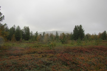 Fototapeta premium Nature Travel Landscape