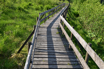 Ortelsbruch