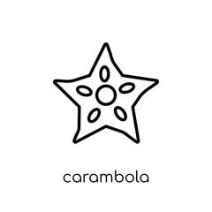 Carambola icon from Fruit and vegetables collection.