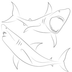 Obraz premium Black line shark attacks on white background. Set of Sharks. Sketch style. Vector graphic icon animal.