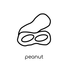 Peanut icon from Fruit and vegetables collection.