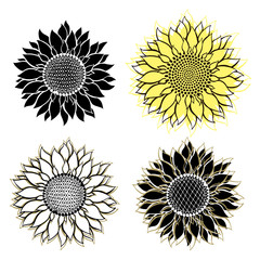 Sunflowers.Sketch. Hand draw vector illustration, isolated floral elements for design on white background.Silhouettes.