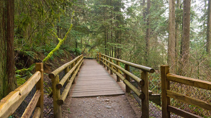 Obraz premium Heading For Cheakamus Lake, Whistler, BC