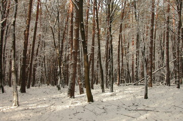 Wyzyna lubelska © M. G. Koperkiewicz