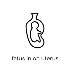 Fetus in an uterus icon. Trendy modern flat linear vector Fetus in an uterus icon on white background from thin line Human Body Parts collection
