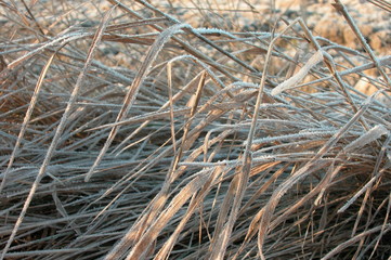 Wyzyna lubelska © M. G. Koperkiewicz