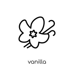 Vanilla icon. Trendy modern flat linear vector Vanilla icon on white background from thin line nature collection