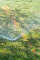 Garden irrigation system watering lawn. automatic sprinkler system watering the lawn on a background of green grass. vertical photo