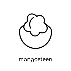Mangosteen icon from Fruit and vegetables collection.