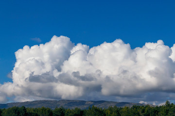 daytime blue sky with white cloud closeup as background