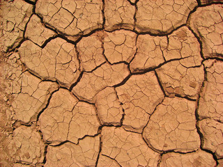 Dry mud surface Grand Bara Desert Djibouti