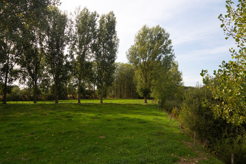 Fototapeta na wymiar Typical landscape of foreland of small river Roer, Limburg, Netherlands