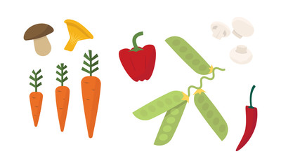 Flat vector set of different vegetables. Fresh mushrooms, ripe carrot, red pepper and green peas. Organic products