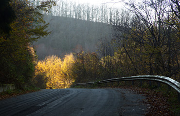 There is always light in front of you