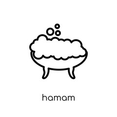 Hamam icon. Trendy modern flat linear vector Hamam icon on white background from thin line sauna collection