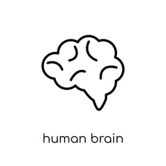 Human Brain icon. Trendy modern flat linear vector Human Brain icon on white background from thin line Human Body Parts collection