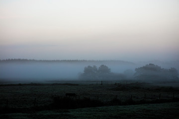 Foggy Misty morning West coast of Ireland