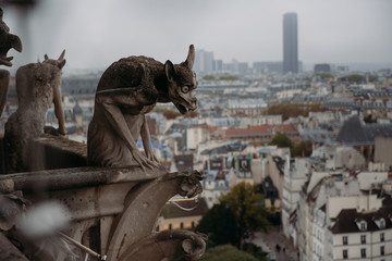 Close-up of gargoyles on Notre Dame Cathedral, Paris, France