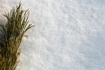 New year and christmas theme with fir branches and snow. Selective focus