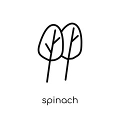 Spinach icon from Fruit and vegetables collection.