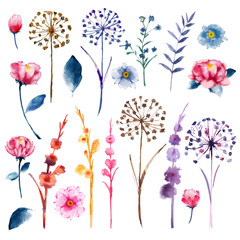 Watercolor set of botanic floral blooming natural elements. Wild flowers, twigs and leaves. © MSNTY_STUDIOX