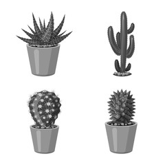 Isolated object of cactus and pot icon. Set of cactus and cacti vector icon for stock.