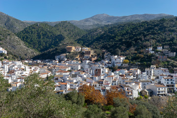 Fototapeta na wymiar municipios del valle del Genal, Igualeja en la provincia de Málaga